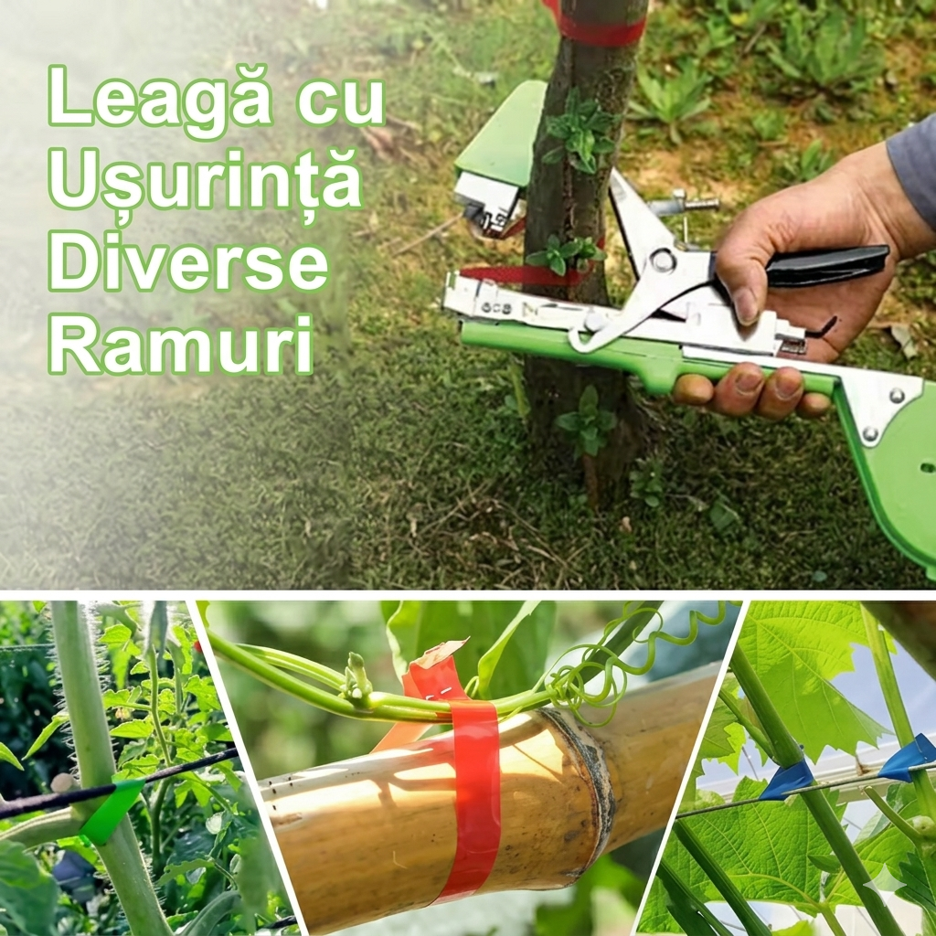 Aparat De Legat Vita De Vie, Pomi Fructiferi Si Legume