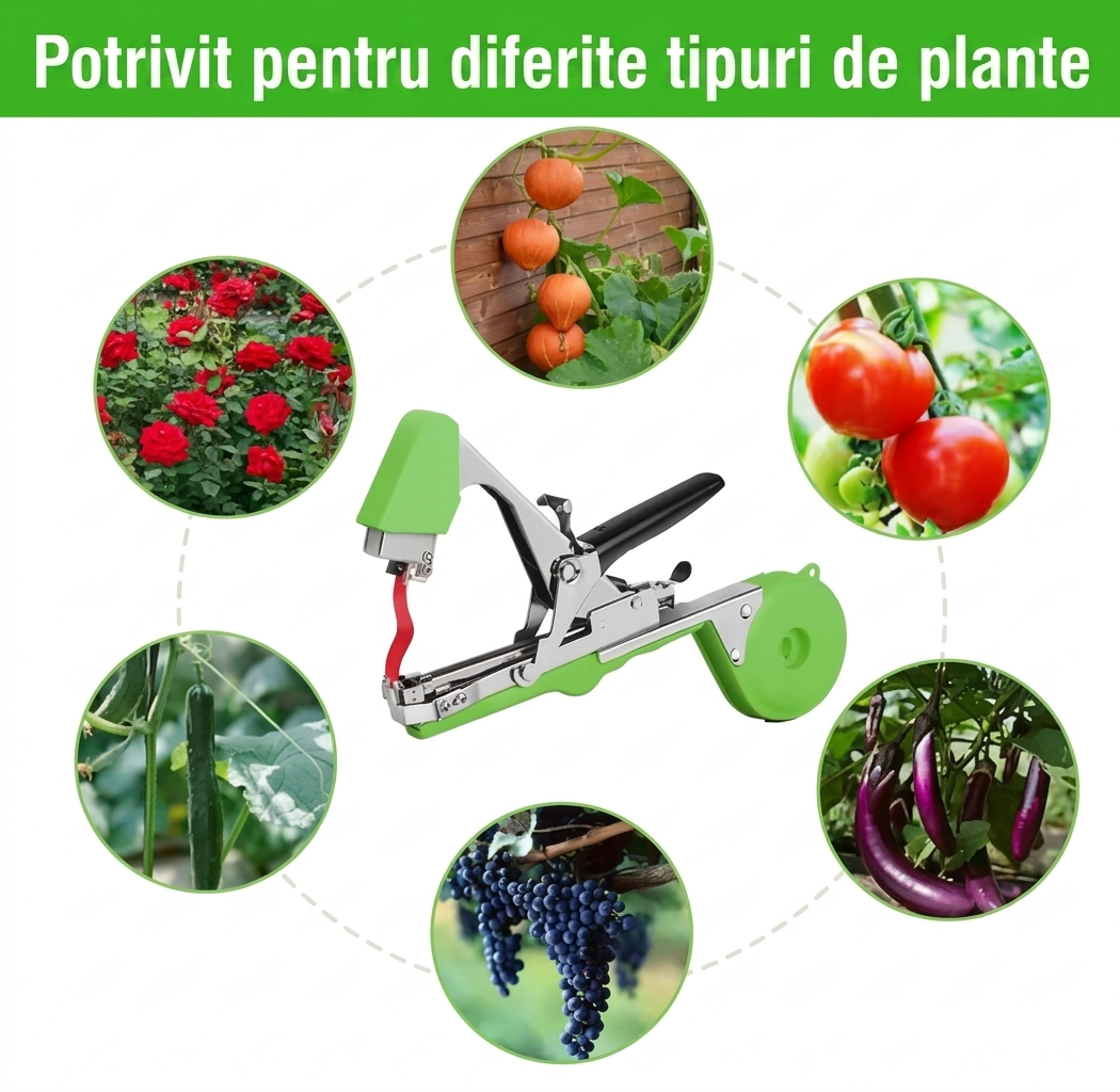 Aparat De Legat Vita De Vie, Pomi Fructiferi Si Legume