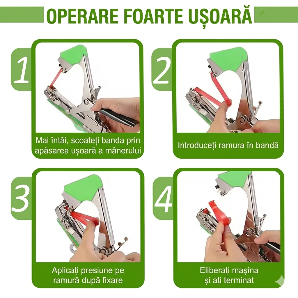 Aparat De Legat Vita De Vie, Pomi Fructiferi Si Legume